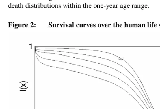 Figure 2: Survival curves over the human life span 