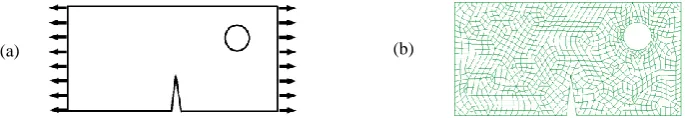 Fig.8 : Asymmetric cracked plate with a hole: (a) geometry; (b) meshing.