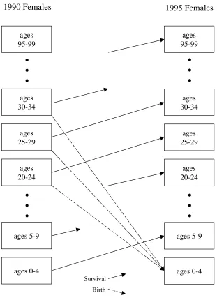 Figure 1:An illustration of one time step of the cohort component method for afemale population