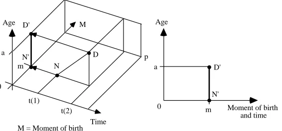 Figure 8: The projection on the “moment of birth and age” plane