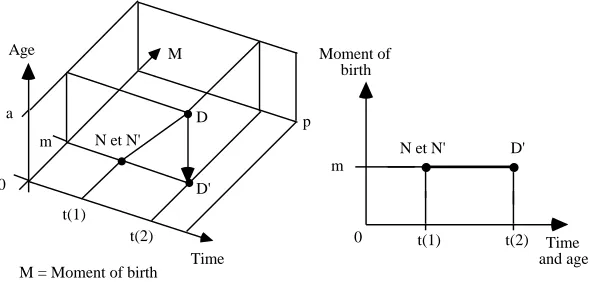 Figure 11: The projection on the “time and moment of birth” plane