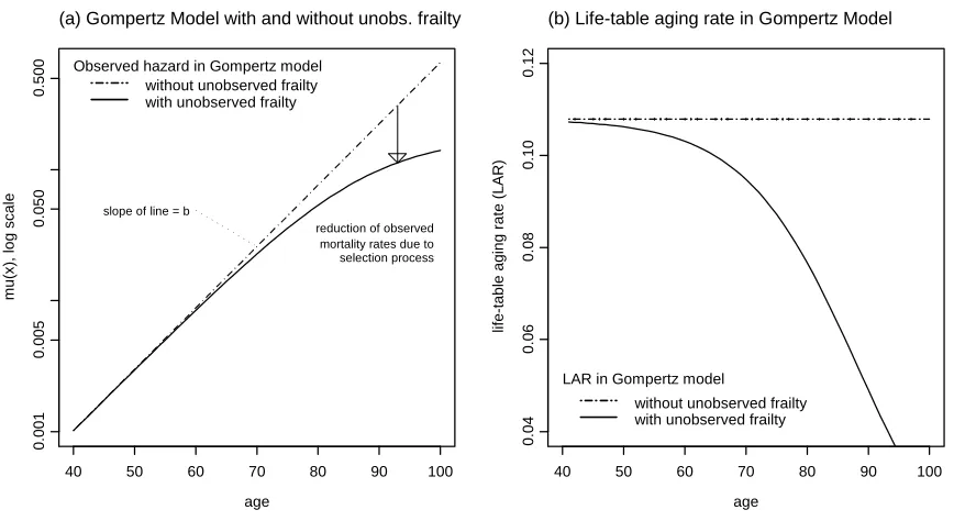 Figure 2: Left graph: Typical pattern of mortality rates implied by a Gompertz model with andwithout unobserved heterogeneity