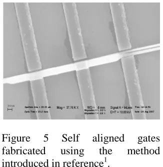 Figure fabricated 