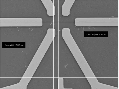 Figure 6 Measurement of the locations of the nanowire with respect to the alignment mark