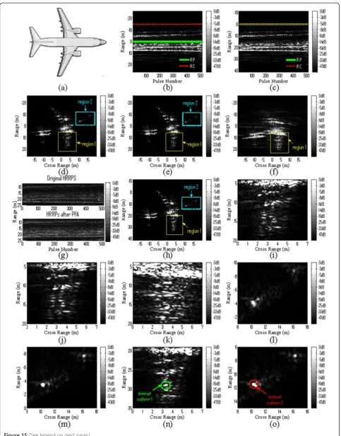 Figure 15 (See legend on next page.)