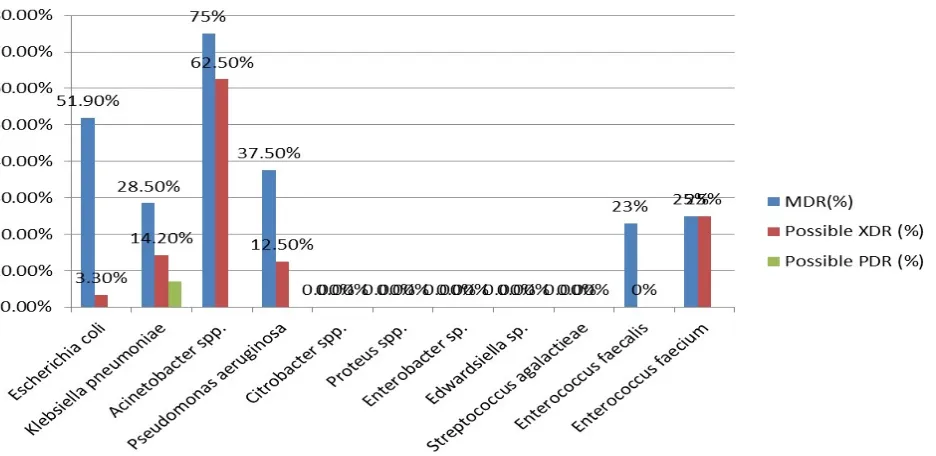 Figure 1. Percentage of multi-drug resistance of uropathogenic bacteria. MDR; Multi-drug resistant, Possible XDR; Extensively drug-resistant, Possible PDR; Pan drug-resistant 