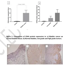Figure 2. Comparison of CD44 protein expression in: a) Bladder cancer and 