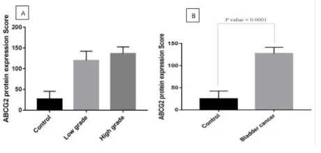Figure 5. Comparison of ABCG2 protein expression in: a) normal bladder, low grade and high grade tumors