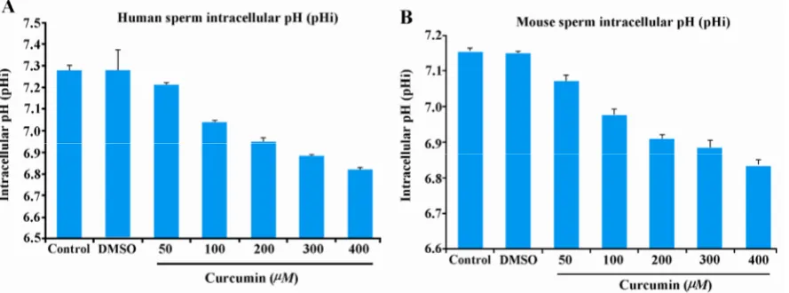 Figure 1. Calibration curve of human (panel A) and mouse (panel B) sperm fluorescence intensity at various extracellular pH