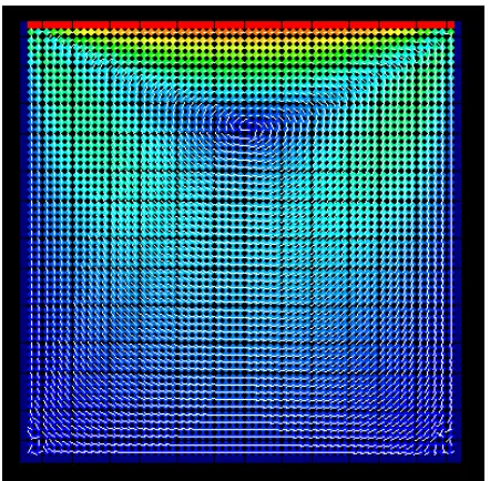 Figure 3.9: Lid driven cavity Eulerian model velocity plot 