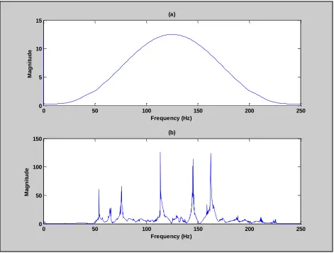 Figure 1.3.  (a)  Magnitude of D/G(X) for the correct source location; (b)  magnitude of D/G(X) for the incorrect source location  