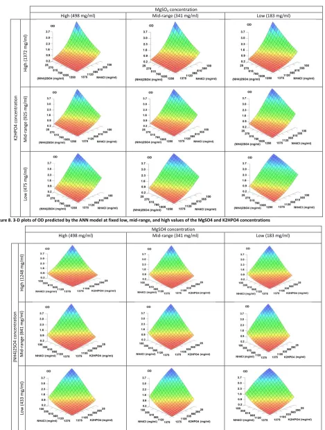 Figure 8. 3-D plots of OD predicted by the ANN model at fixed low, mid-range, and high values of the MgSO4 and K2HPO4 concentrations 