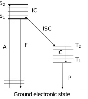 Figure 1.6 Jablowski Diagram 