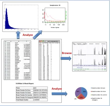Figure 1.2 Endogenous sequence analyses. 