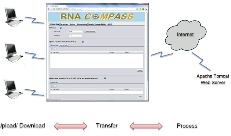 Figure 2.1 Overview of RNA CoMPASS structure. 