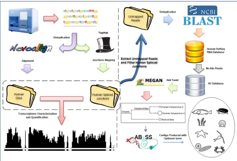 Figure 3.1 Data flow through RNA CoMPASS. 