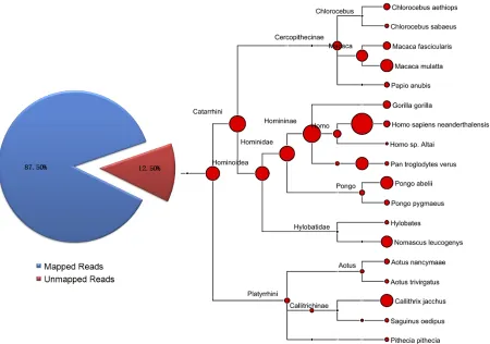 Figure 3.3 Investigation of exogenous sequences. On average 87.5% of our reads from RNA-seq experiments in human are identified as mapped reads