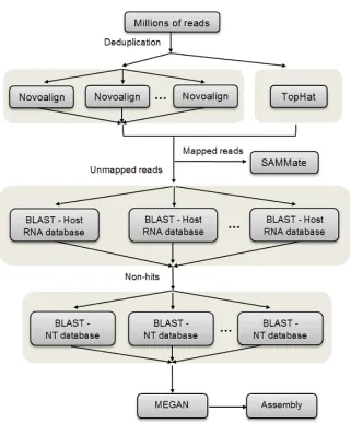 Figure 3.4 Overview of RNA CoMPASS workflow. After deduplication, raw sequence data in FASTQ format is aligned against the reference genome using Novoalign and TopHat