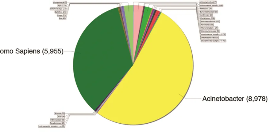 Figure 4.5 The pie chart is another representation of the MEGAN output. The pie chart represents the portion of reads that was assigned to each category