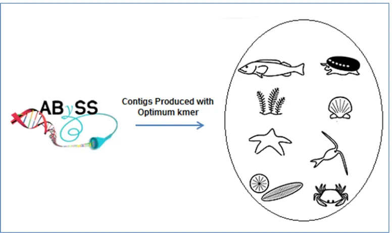 Figure 4.6 RNA CoMPASS uses ABySS to assemble reads that was assigned to each category into longer transcripts