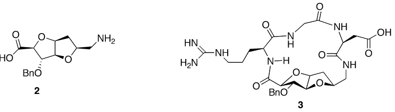 Figure 
  1.2. 
  Cyclic 
  peptide 
   
  consists 
  sugar 
  amino 
  acid 
  derivative 
  bicyclic 
  scaffold 
  3 
  as 
  a 
  2