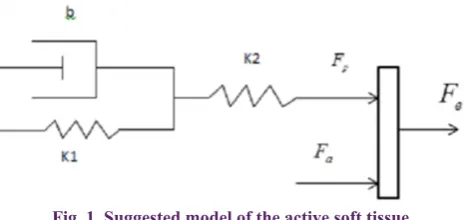 Fig. 1. Suggested model of the active soft tissue