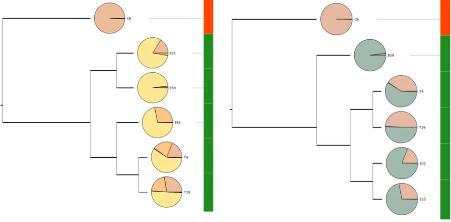 Figure   7.   Example   dendrograms   generated   by   the   framework   showing   samples   from   a   necrotizing   