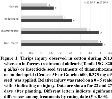 Figure 1. Thrips injury observed in cotton during 2013 where an in-furrow treatment of aldicarb (Temik 15G, 820 