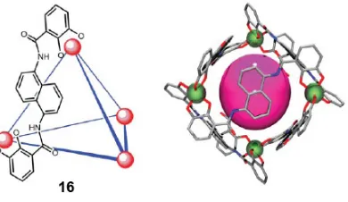Figure 1-13. Left: M4L6 host 16 with six bisbidentate catechol amide ligands. Right: A generic spherical guest in an assembled tetrahedron host