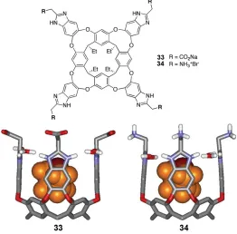 Figure 1-17. Structure of deep, tetraanionic cavitands 33 and 34 binding one molecule of THF