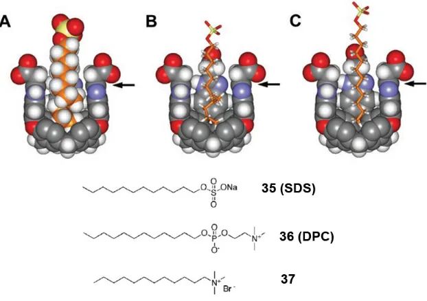 Figure 1-18. Energy-minimized structures of the complexes; one wall of the receptor has been removed for viewing clarity