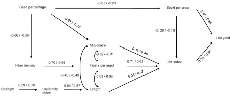 Figure 3. Sequential path model showing interrelationships among yield component and fiber quality variables that contributed to cotton lint yield in Non-irrigated Main Cultivar Tests (V1ni) and Non-irrigated 1st year (V2ni) at Keiser from 1999-2006 and at