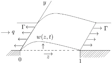 Figure 1: The panel ﬂutter problem