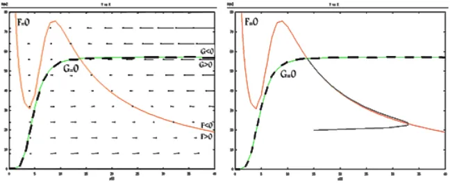 Figure 5: The vector ﬁeld and nullclines and trajectory solution for the secondcase