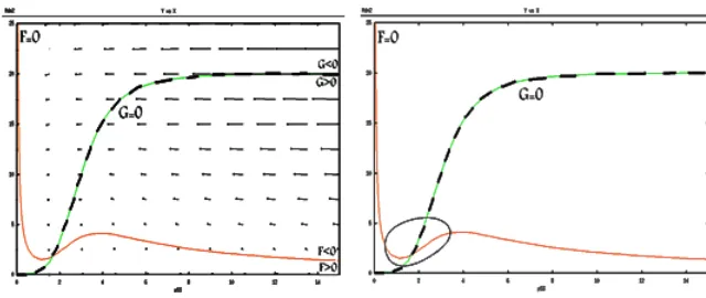 Figure 6: The vector ﬁeld and nullclines and trajectory solution for the thirdcase