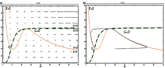 Figure 7: The vector ﬁeld and nullclines and trajectory solution for the fourthcase