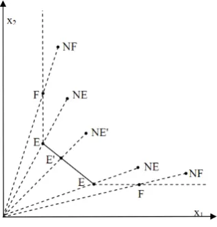 Fig. 1: Classifying DMUs.