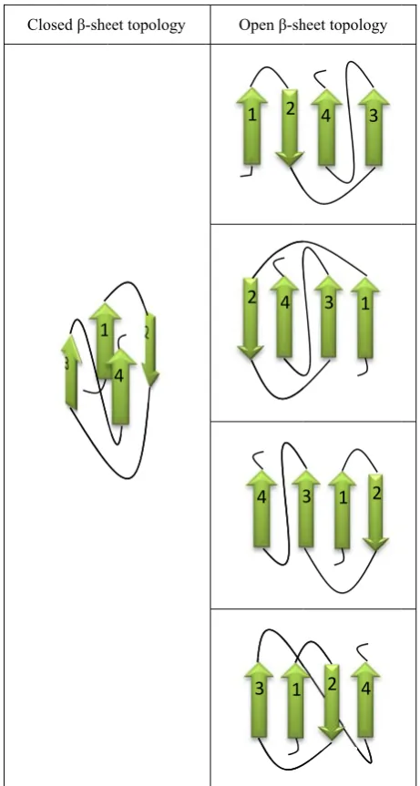 Fig. 4. The proocess of determmining the most probable open β-sheet 