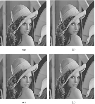 Figure 11: Visual comparison of Lena wall image across all four algorithms. Criminisi (a), Anupam (b), Kwok (c), and the proposed algorithm (d)