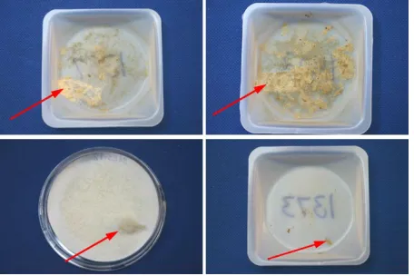 Figure 8. Example EPA Method 201A filter and sampler head acetone washes with lint (indicated by arrows) in the washes and on the filter