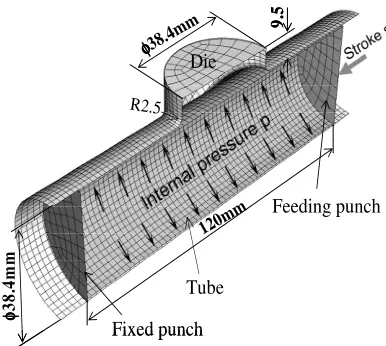 Figure 1:  Finite element model used for simulation�