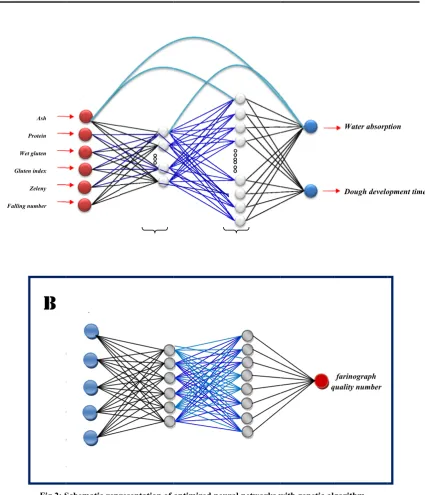 Table 44: Structural pparameters of the developed network for predicting wateer absorption aand developmeent time 