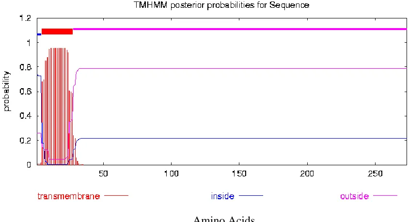 Figure 1-5.   VfACBP3b hydropathy plot illustrating the potential transmembrane domain  (TMD) location