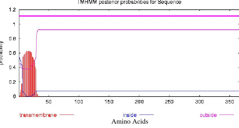 Figure 1-6.   AtACBP3 hydropathy plot illustrating the potential transmembrane domain  (TMD) location