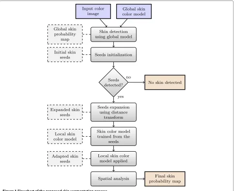 Figure 1 Flowchart of the proposed skin segmentation process.
