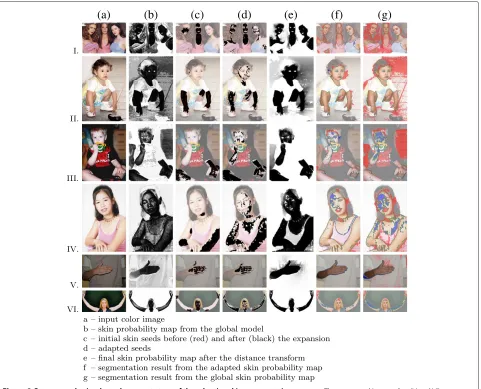 Figure 2 Outcomes obtained at subsequent steps of the adaptive skin segmentation process