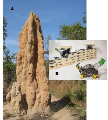 Figure 5. (A) A termite mound (B) Robots try to construct complex structures based on bio-inspired methods [27]