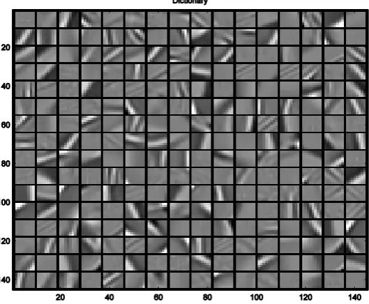 Figure 1: Atoms of a learned dictionary