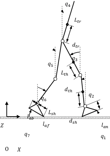 Fig.1: Seven link biped robot model 