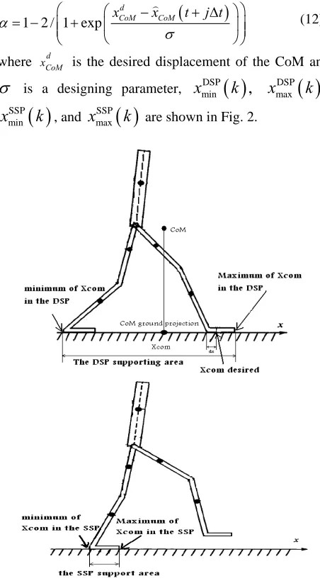 Fig. 2. DSP and SSP supporting area and their margins. 